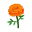Orange-Ringelblumen