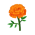 Orange-Ringelblumen