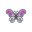 Violett-Stadtschwinge