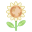 Weiß-Erdenblume