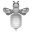 Silber-Laternenbiene