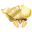Gold-Muschelkrabbler