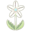 Weiß-Blumuschel