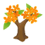 Orange-Ölbäumchen