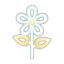 Weiß-Gitterblume