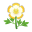 Weiß-Eierblumen