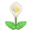 Weiß-Calla-Lilien