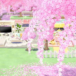 Zeit der Kirschblüten (Vorschau)