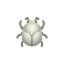 Blatthornkäfer
