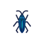 Blau-Schnellkäfer