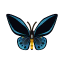 Blau-Vogelfalter