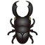 Bucephalus-Hirschkäfer