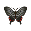Byasa alcinous