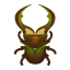 Cyclommatus