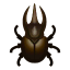 Dreihornkäfer