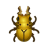 Lamprima aurata