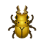 Lamprima aurata