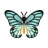 Papilio zalmoxis