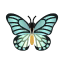 Papilio zalmoxis