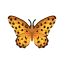 Perlmutterfalter