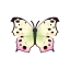 Perlmuttfalter
