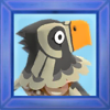 Foto von Quetzal