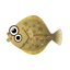 Inselflunder