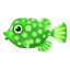 Grün-Kofferfisch