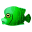 Grün-Napoleonfisch