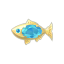 Aquamarin-Juwelenfisch