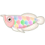 Pastellbunt-Arowana
