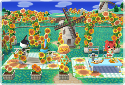 Sonnenblumenfeld