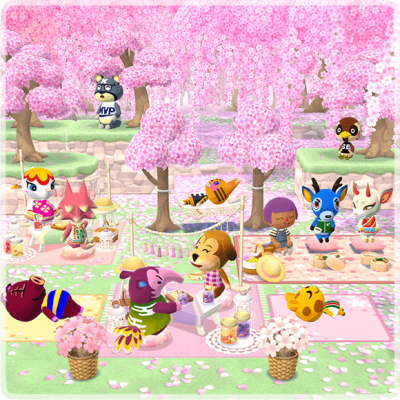 Zeit der Kirschblüten: Gartenaktion