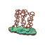 Unterwasserwelt 3