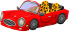 Cabrio