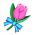 Bouquet-Tulpe