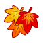 Herbst-Blätter