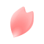 Kirschblüte