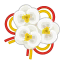Orchideenornament