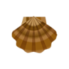 Kammmuschelschale