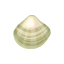 Riesenauster