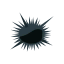 Seeigel