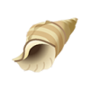 Tritonshorn