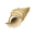 Tritonshorn