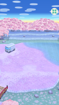 Kirschblütengarten am Morgen