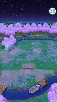 Kirschblütenwald in der Nacht