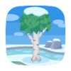 Winterbirken