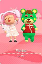Camper-Karte 5 (Florina)