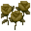 Verwelkte Schwarzrose