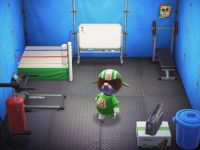 Inneneinrichtung Animal Crossing: New Horizons